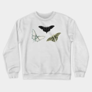 Gothic Moth Pack Crewneck Sweatshirt